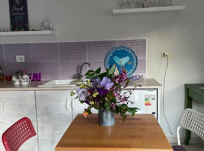 公寓 Panoramic View